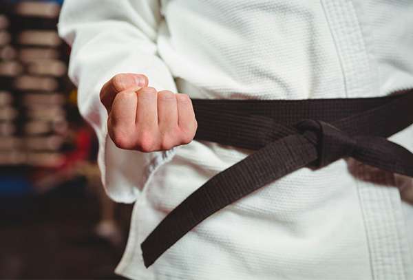 miniature_karate.jpg