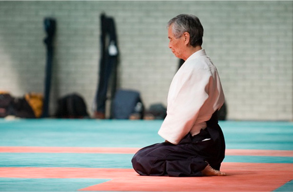 miniature_aikido.jpg
