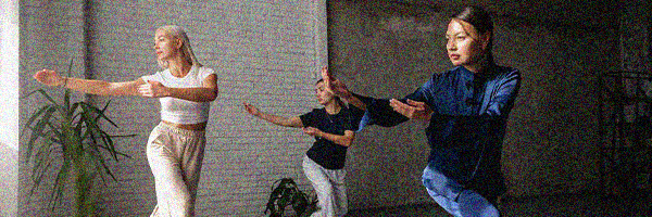 miniature_tai_chi.png