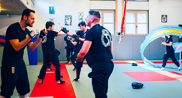 miniature_kung_fu.jpg