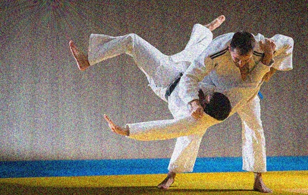 miniature_judo.jpg