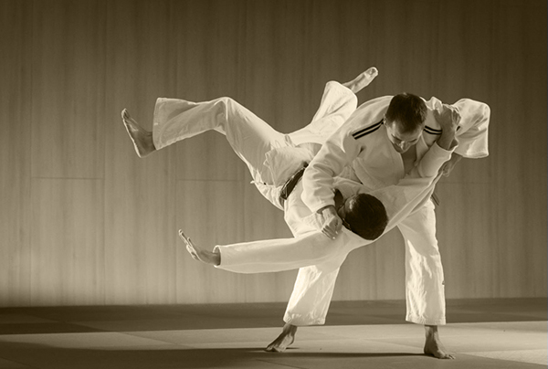 miniature_judo_kata_.jpg